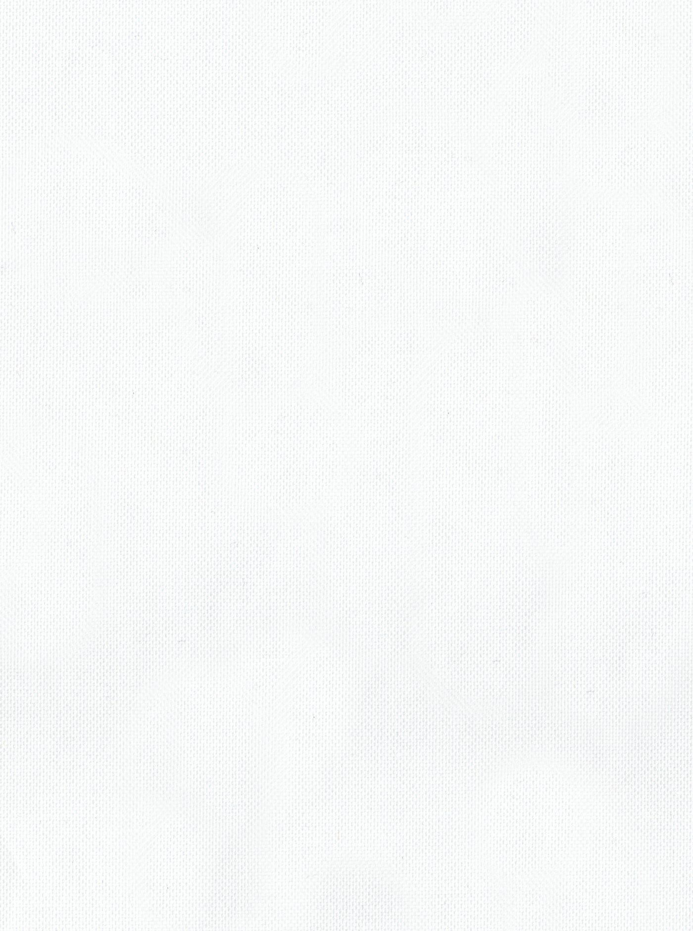 Classic Button Down Shirt in Oxford - White