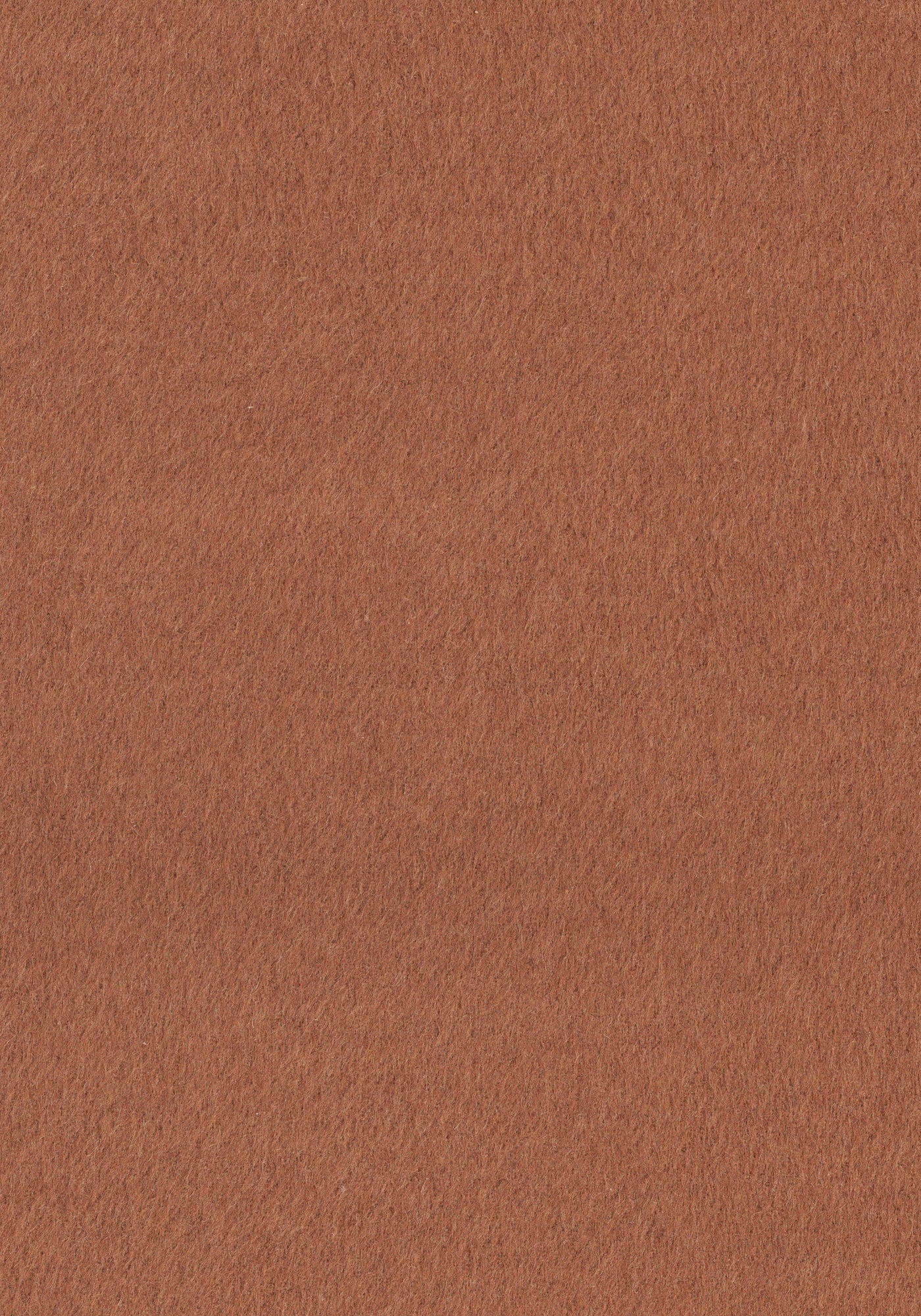 Soft Balloon Coat - Amber Brown